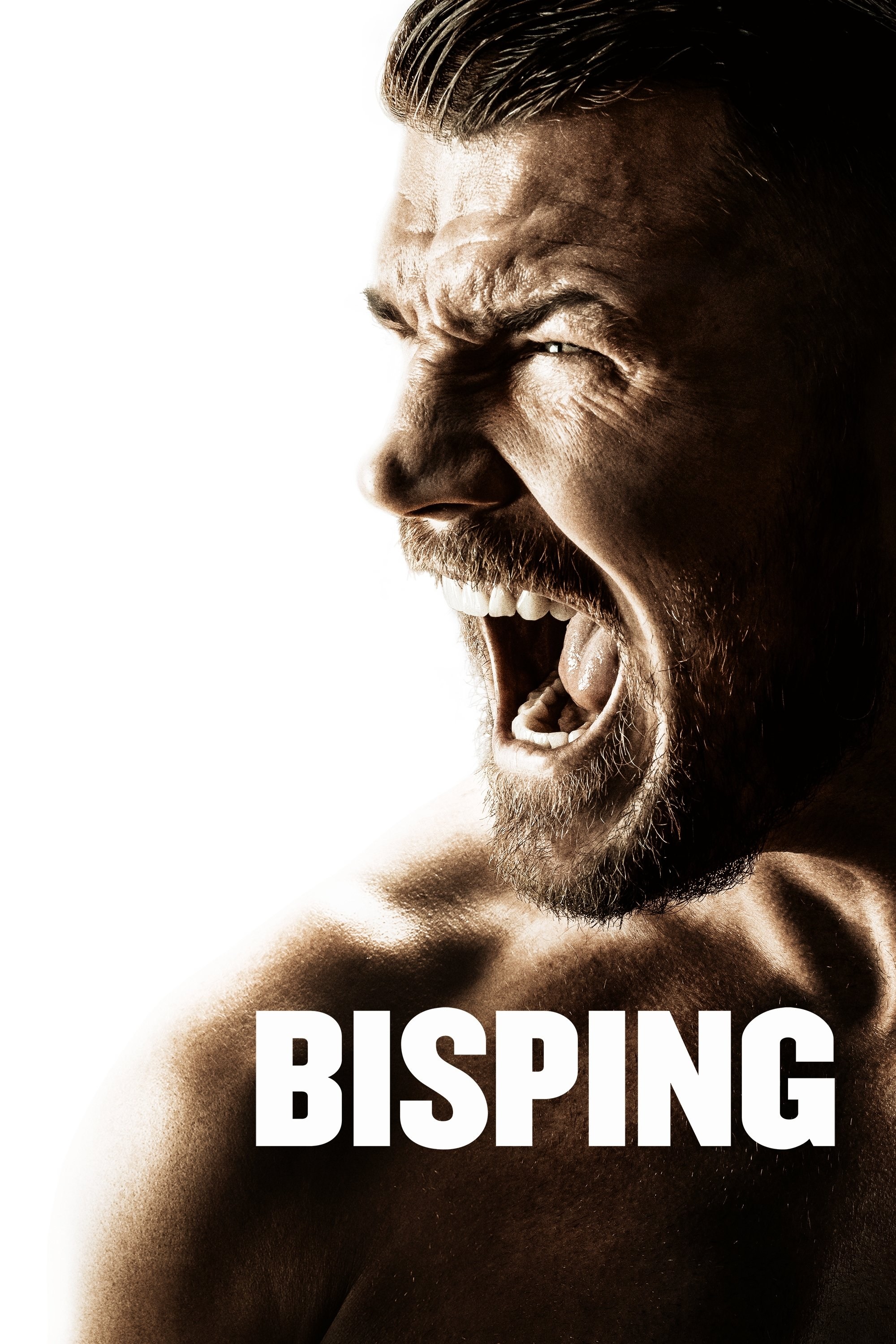 Poster de BISPING en inglés