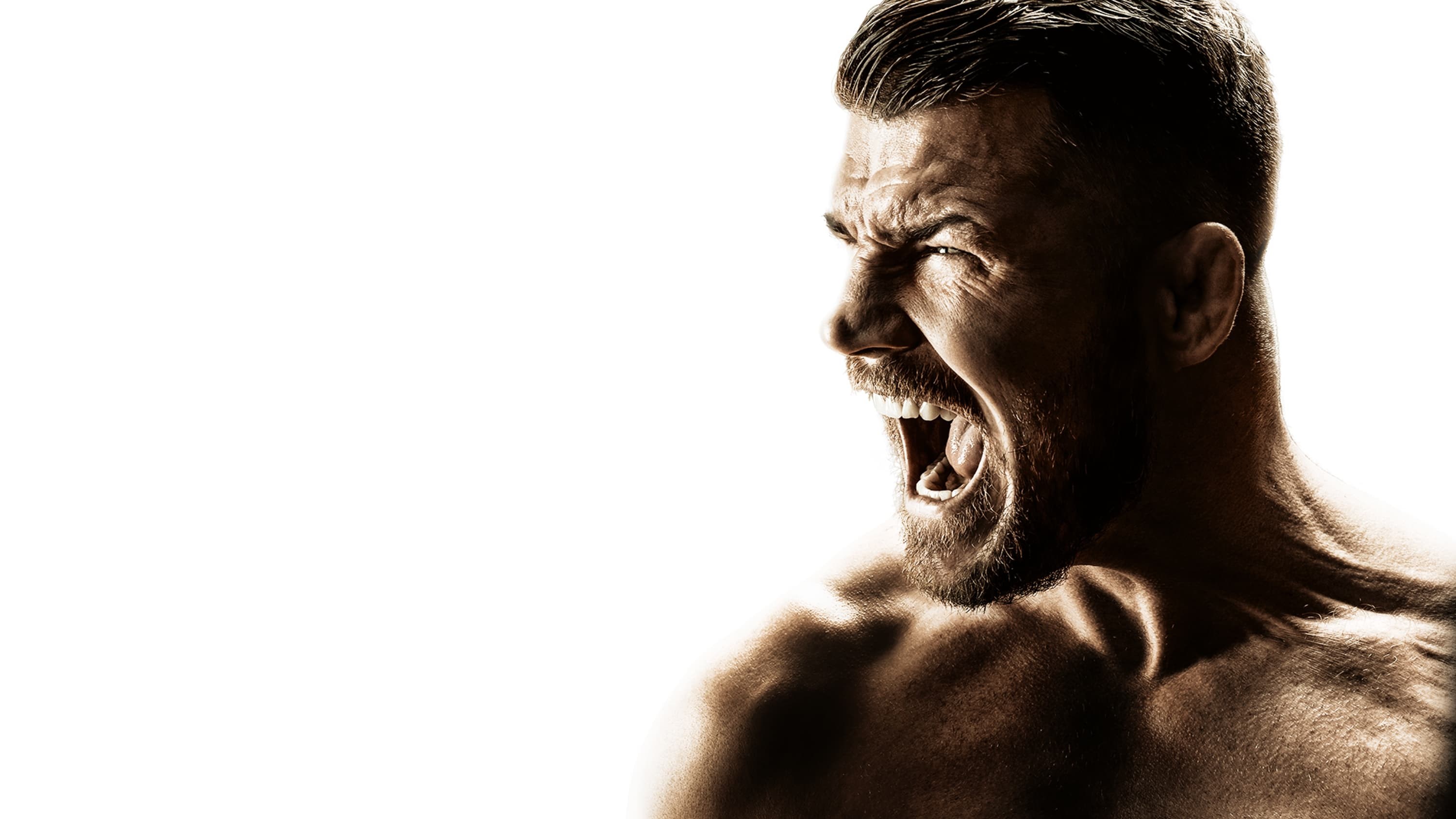 Foto de BISPING