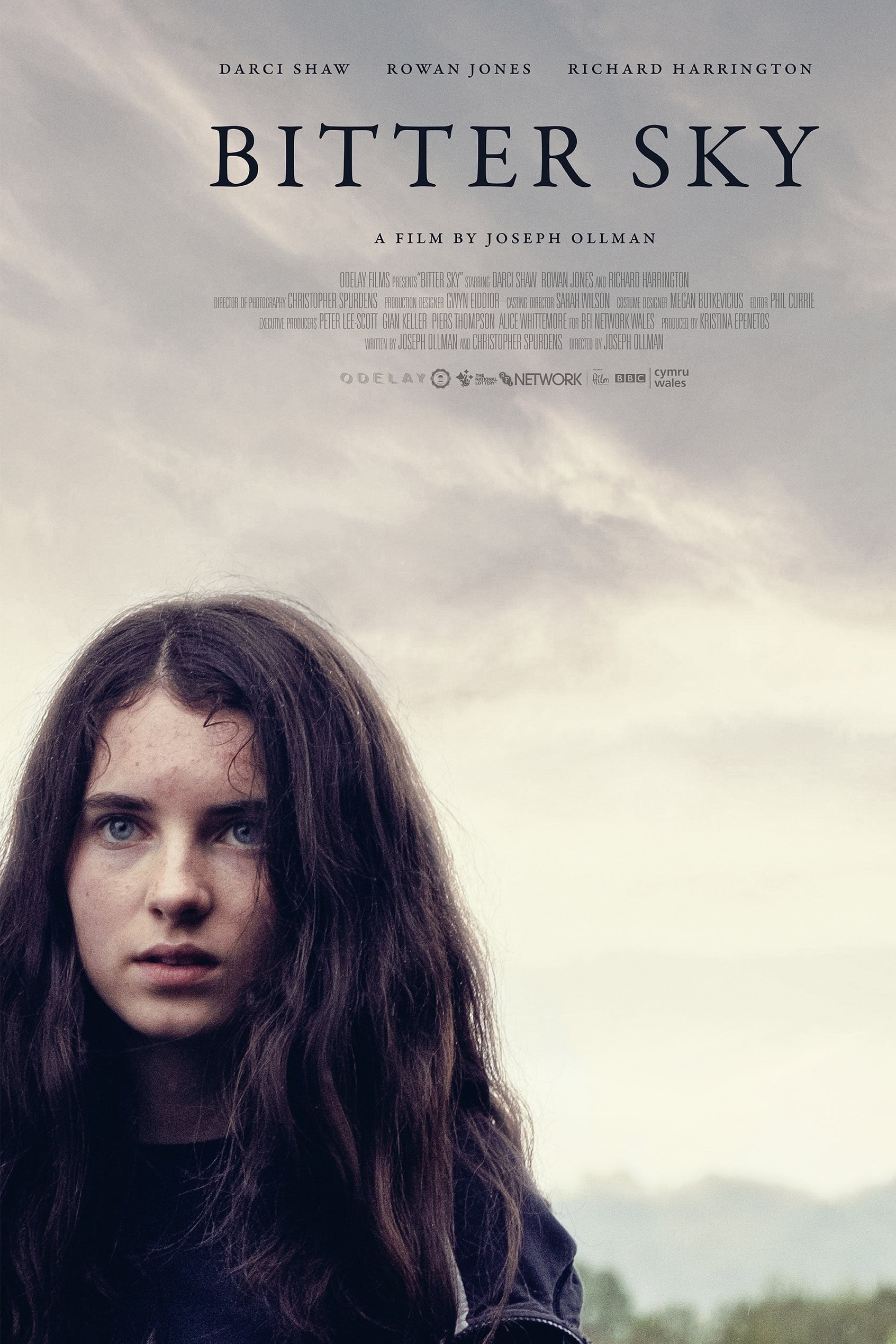 Poster de BITTER SKY