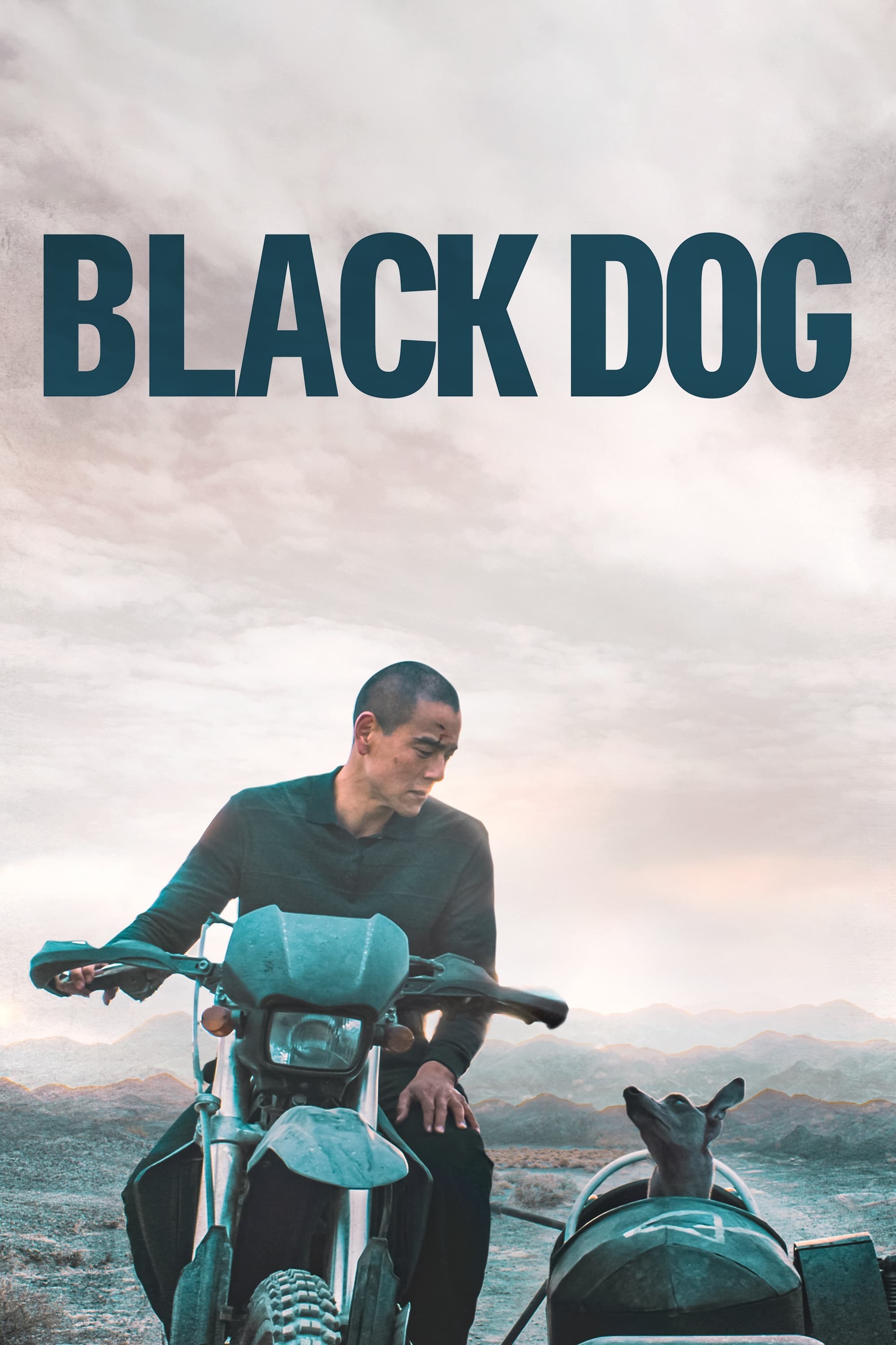 Poster de BLACK DOG en inglés