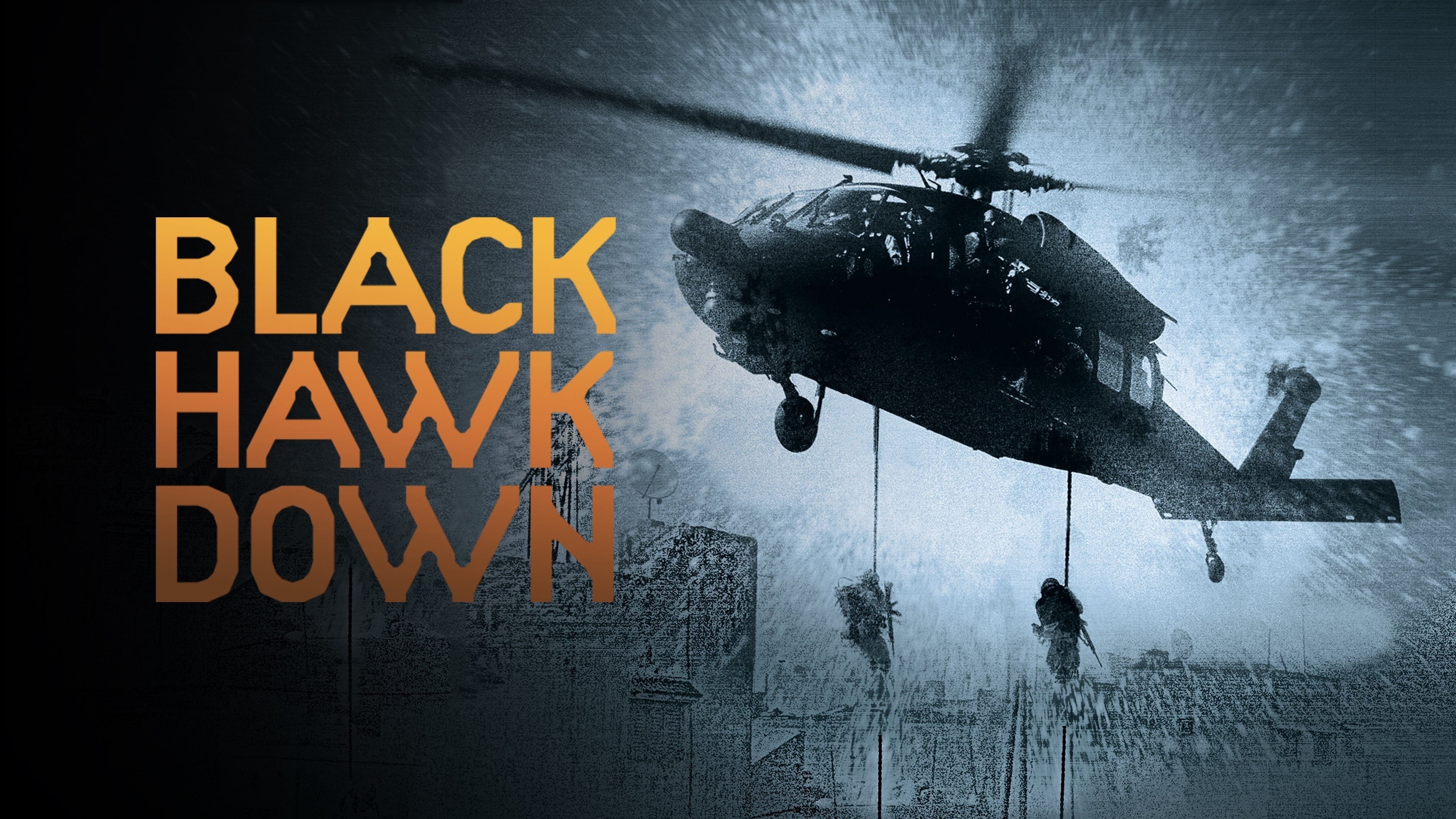 Foto de BLACK HAWK DERRIBADO