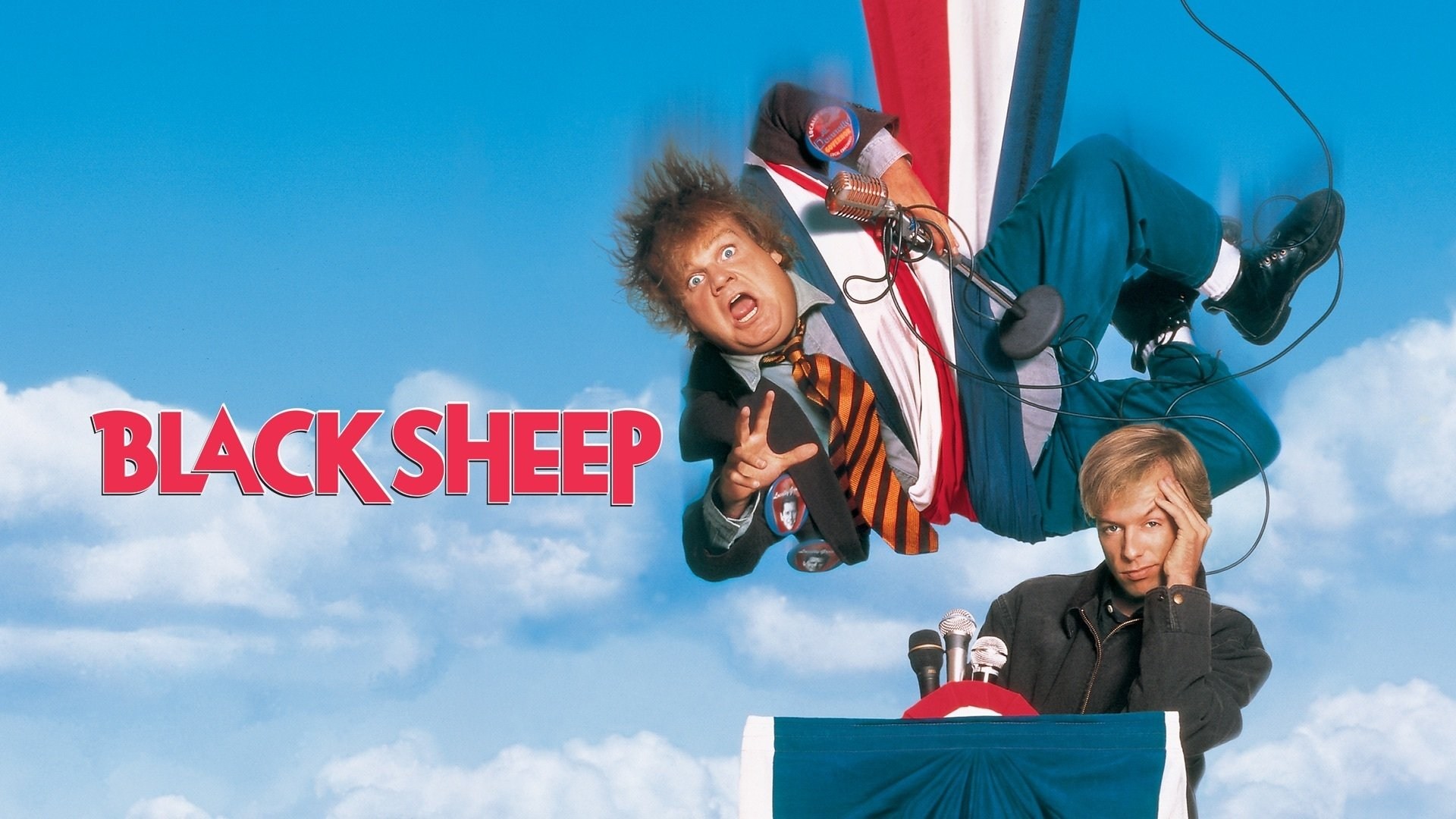 Foto de BLACK SHEEP
