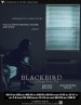 Blackbird
