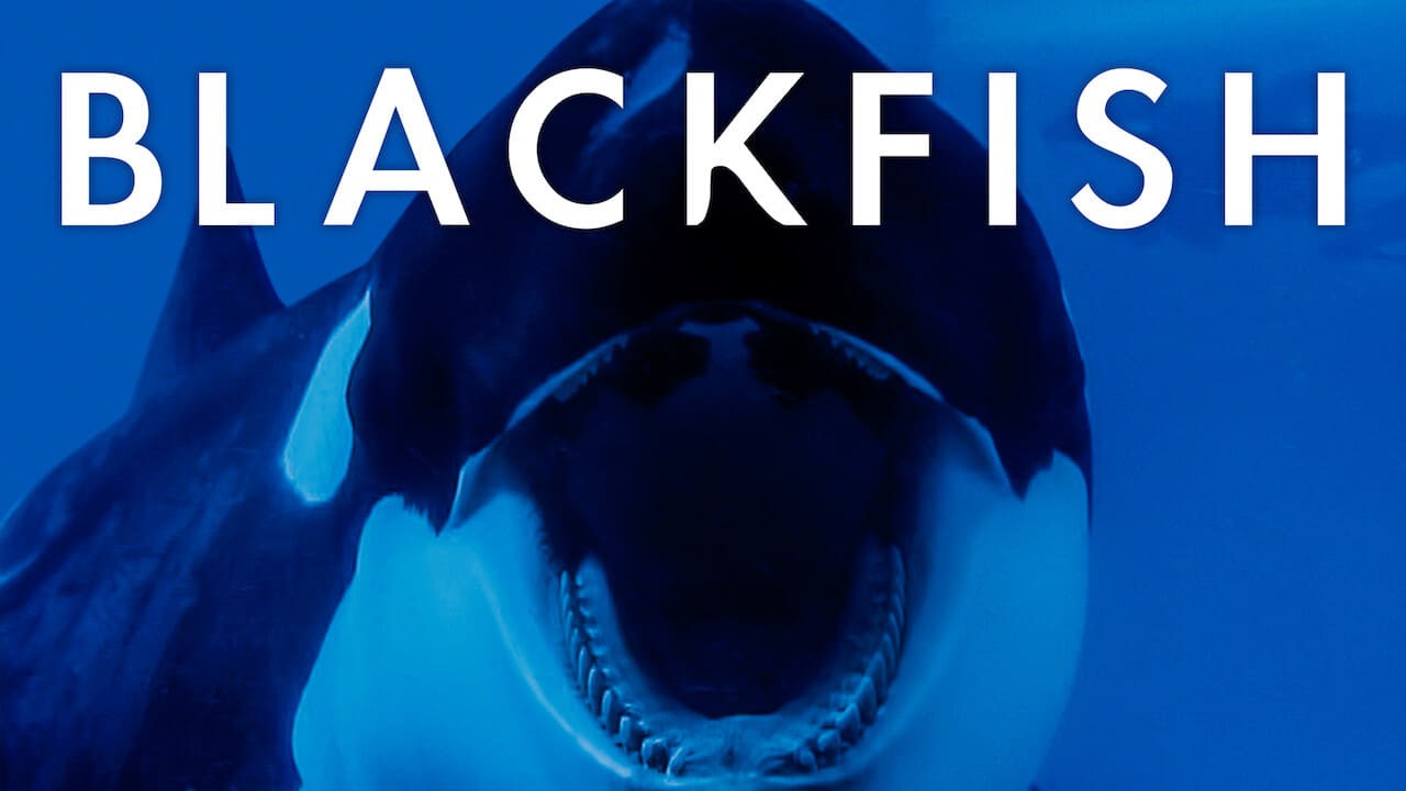 Foto de BLACKFISH