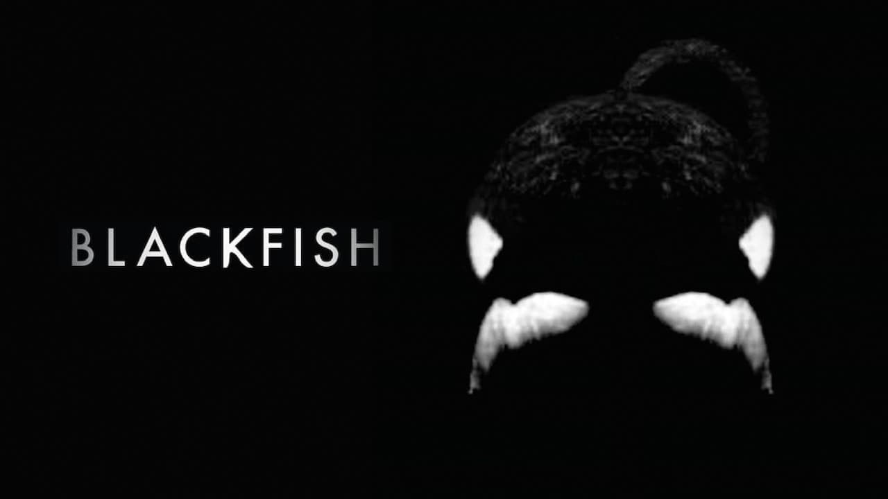 Foto de BLACKFISH