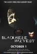 Blackmere Harvest