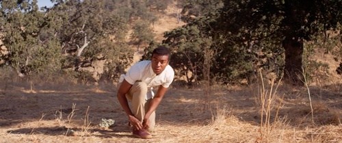 Foto de BLANCO PERFECTO (DOWNRANGE)