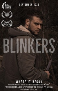 Blinkers