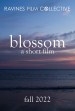 Blossom