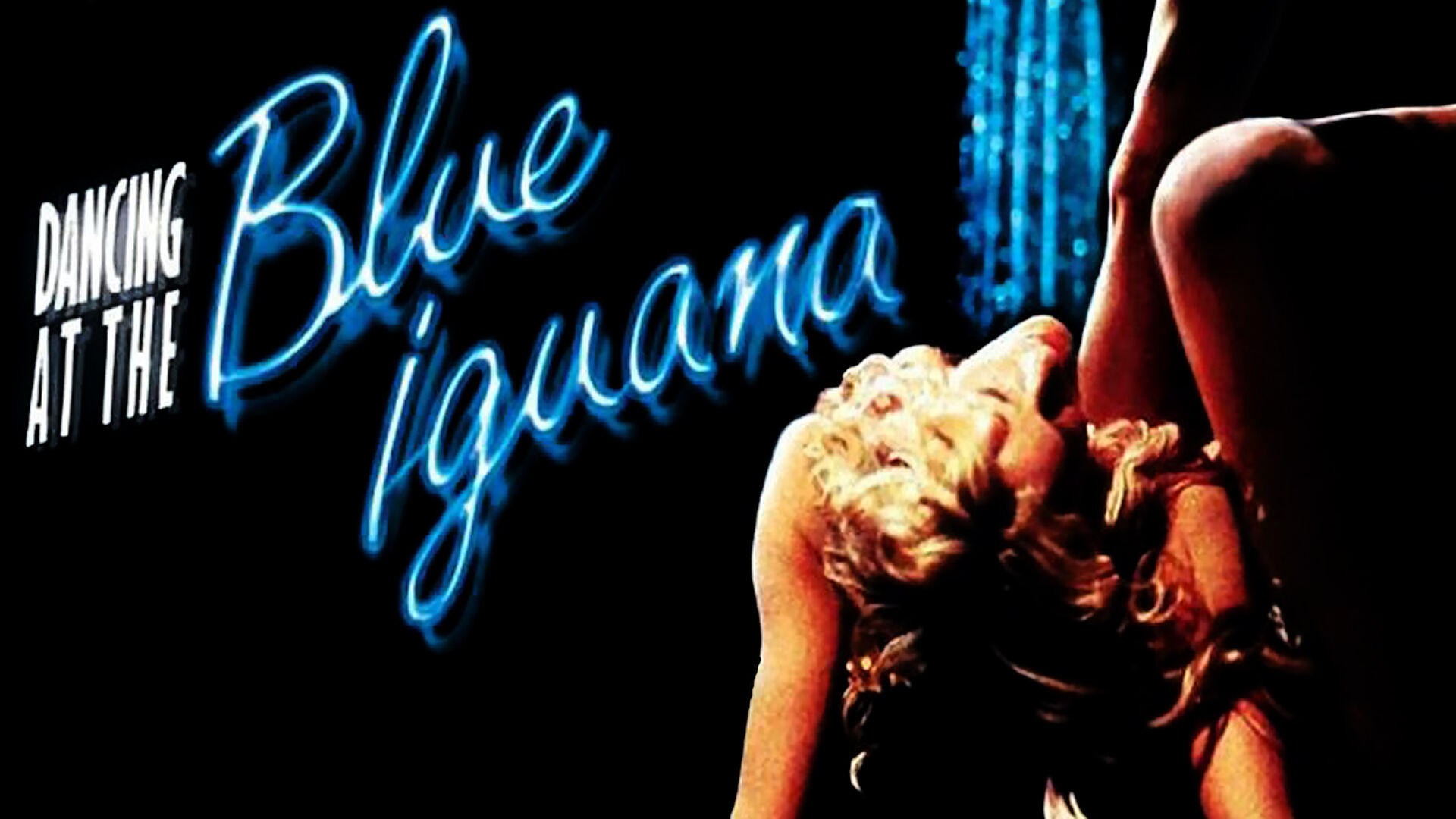 Foto de BLUE IGUANA