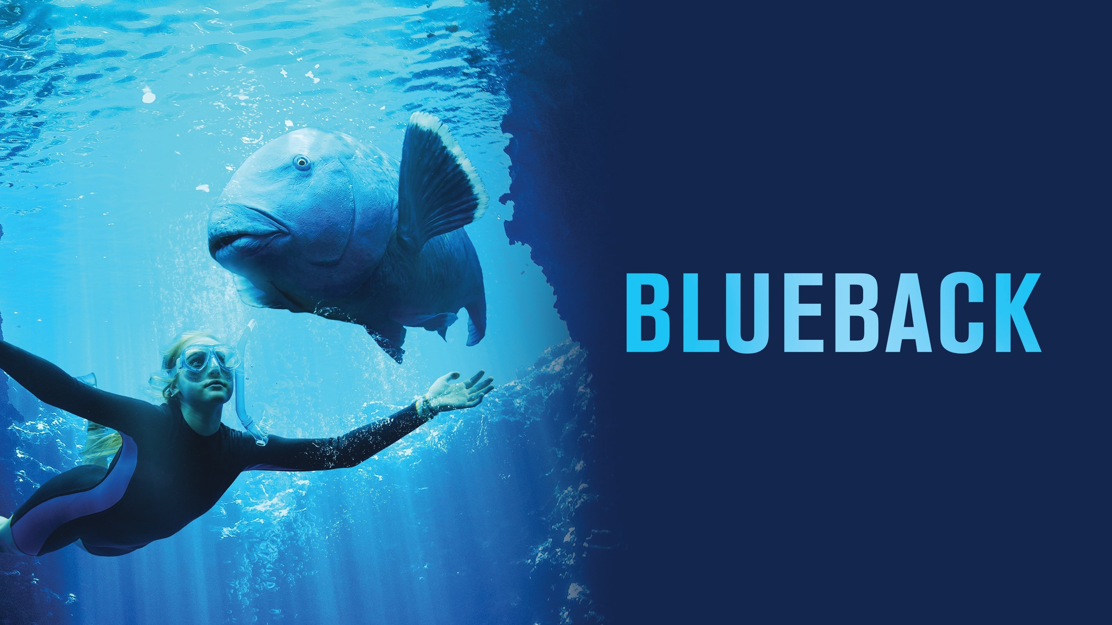 Foto de BLUEBACK