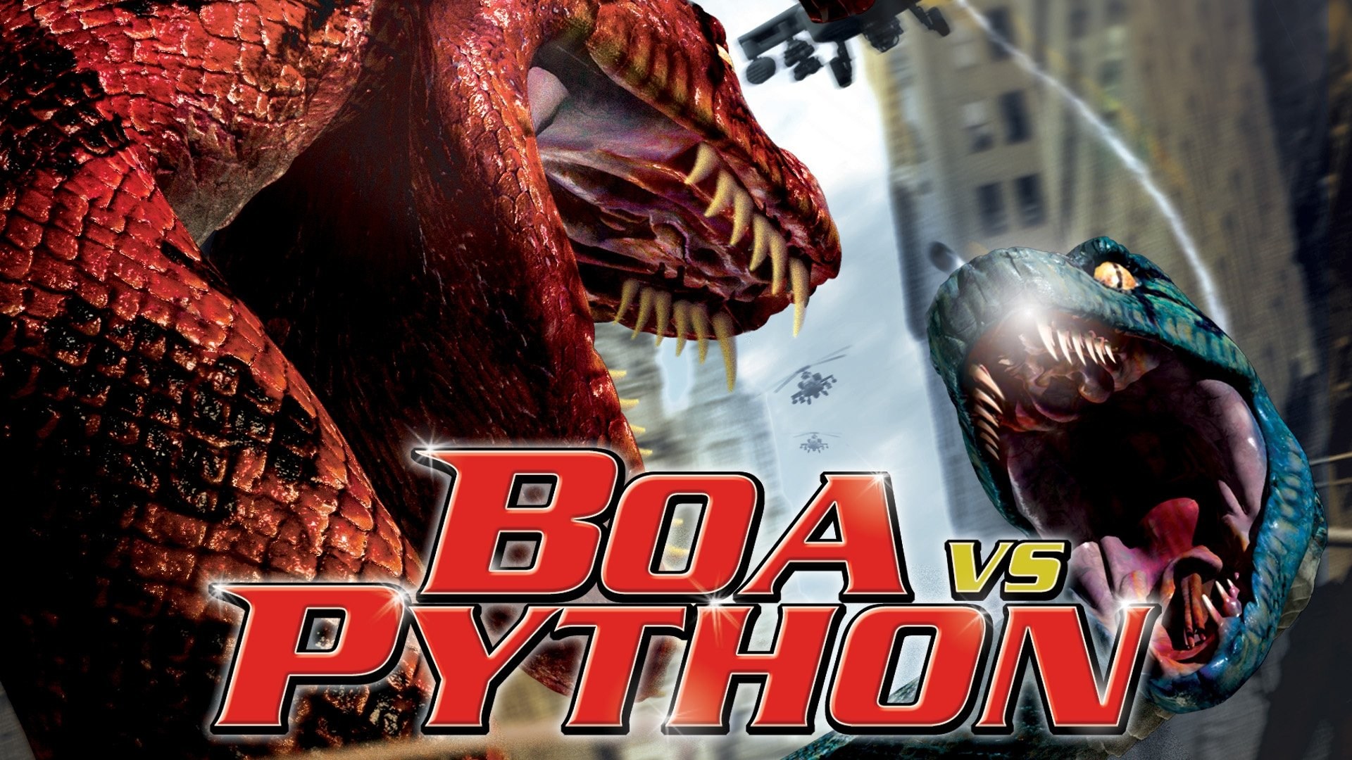 Foto de BOA CONTRA PITÓN