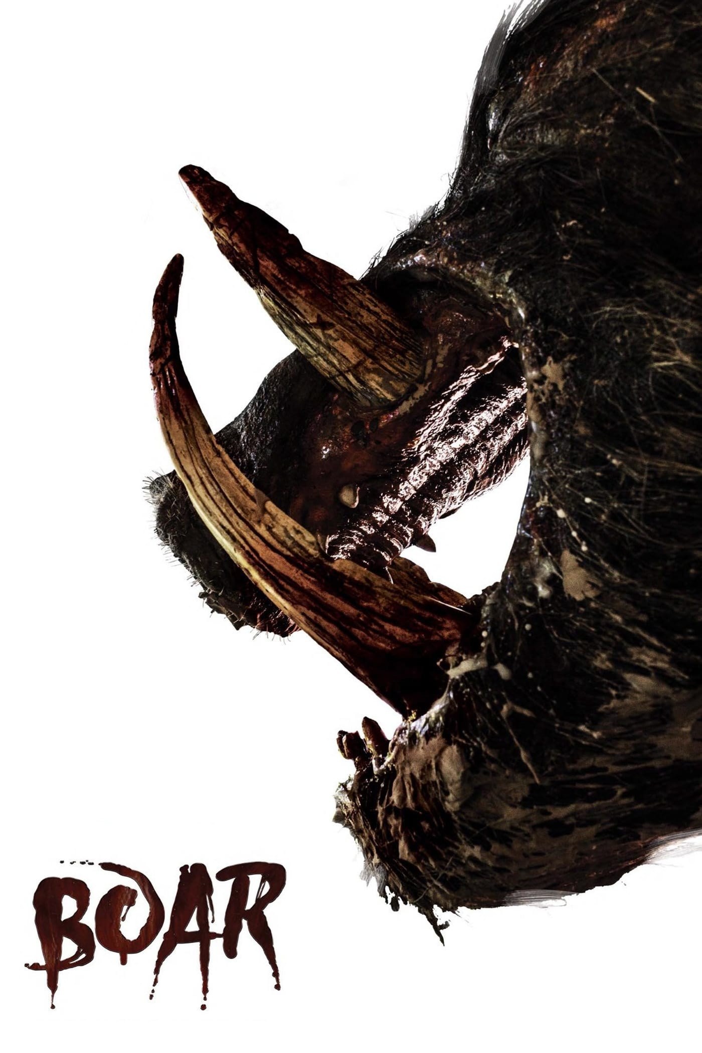 Poster de BOAR en inglés