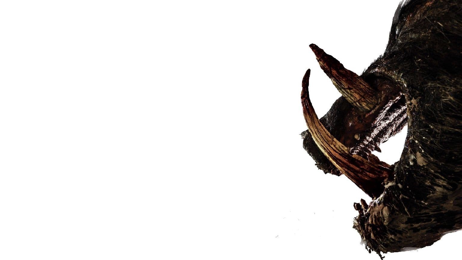 Foto de BOAR