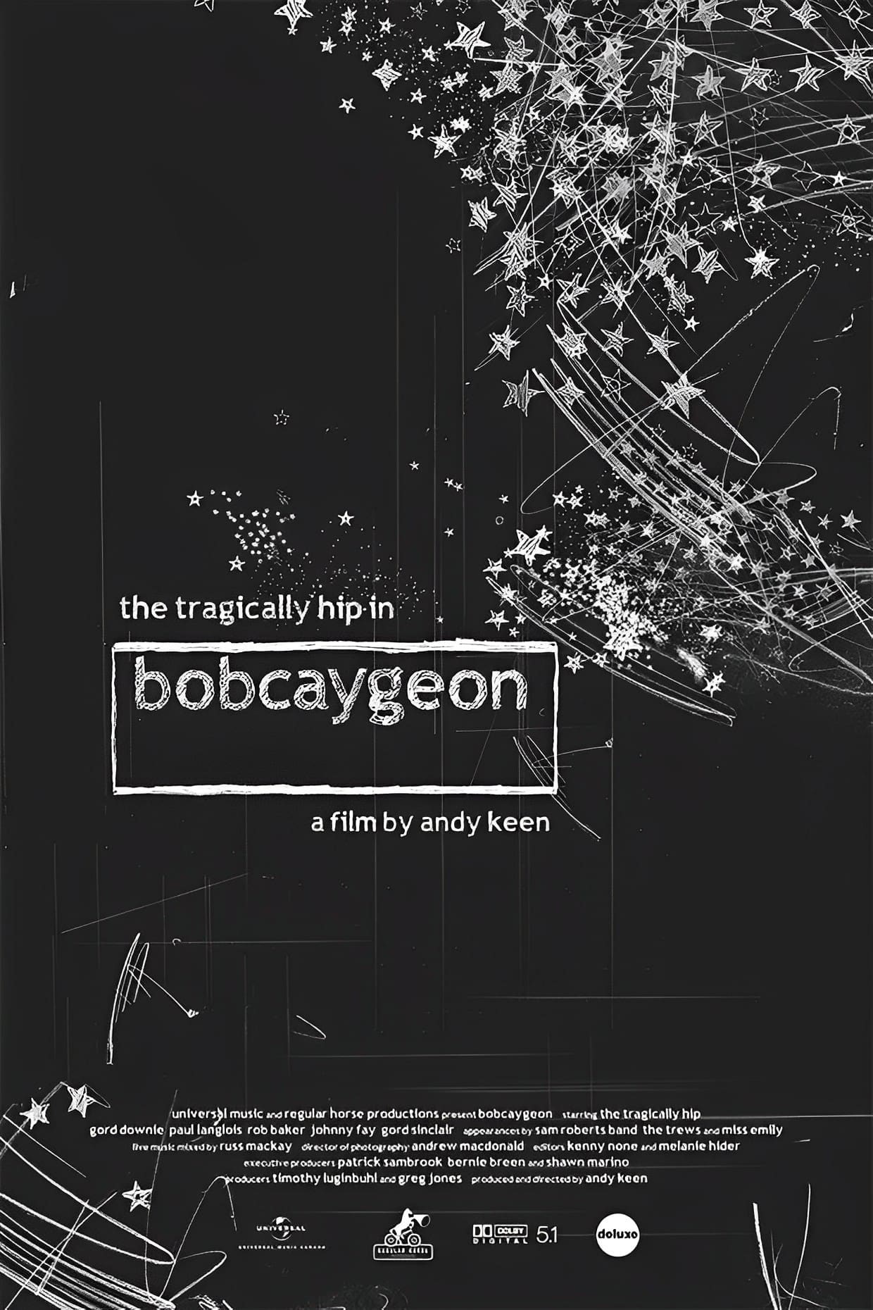 Poster de BOBCAYGEON en inglés
