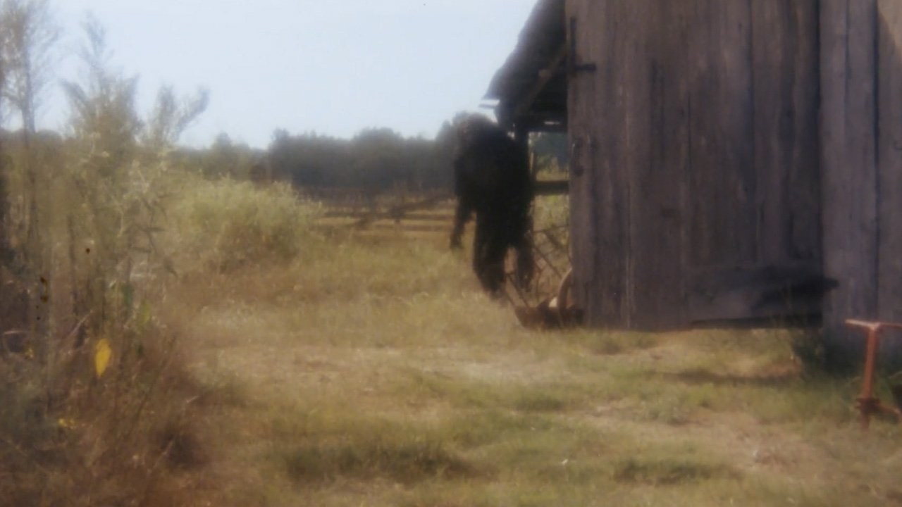 Foto de BOGGY CREEK II LA LEYENDA CONTINÚA...
