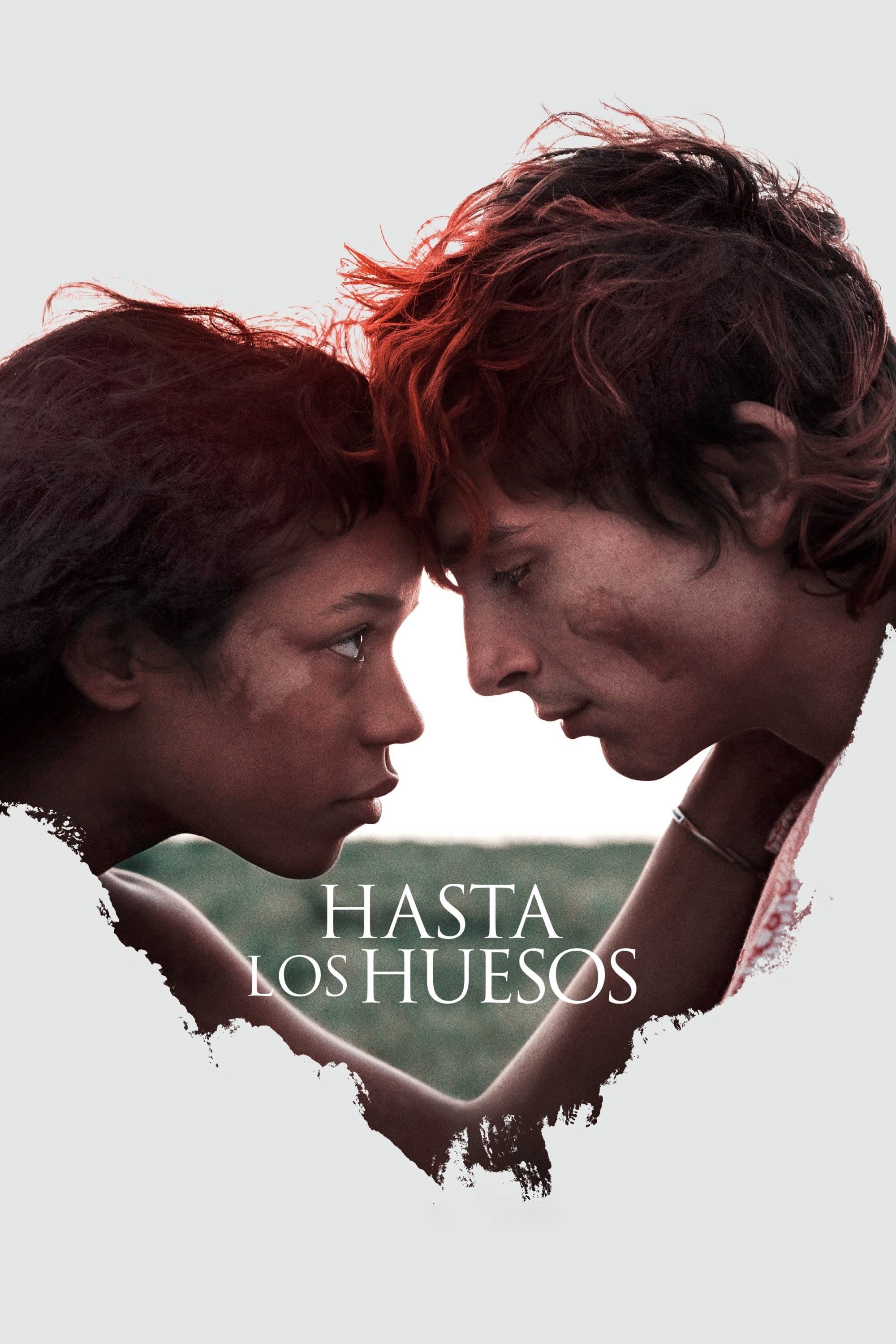 Poster de HASTA LOS HUESOS. BONES AND ALL en español