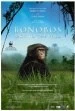 Bonobos: Back to the Wild