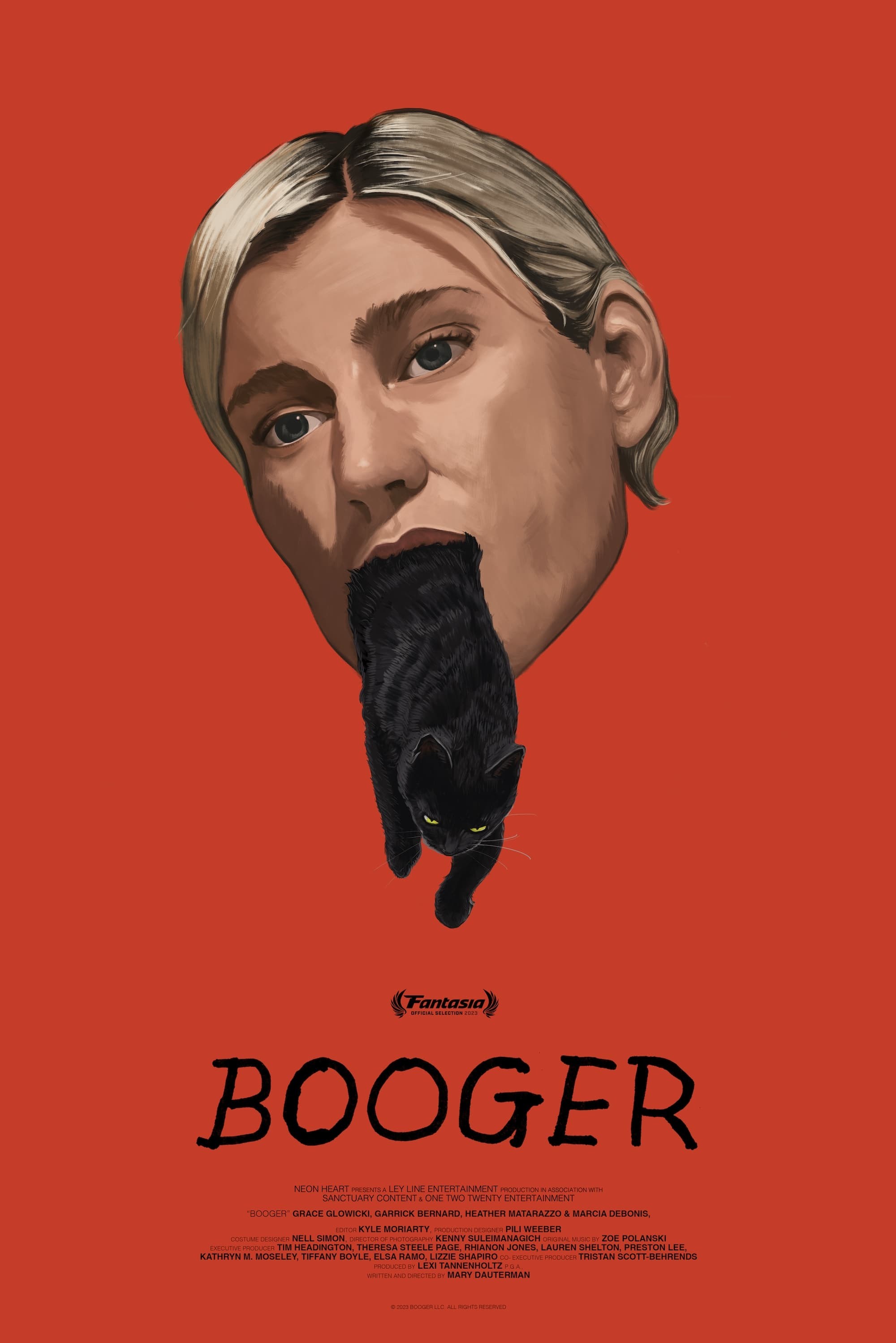Poster de BOOGER en inglés