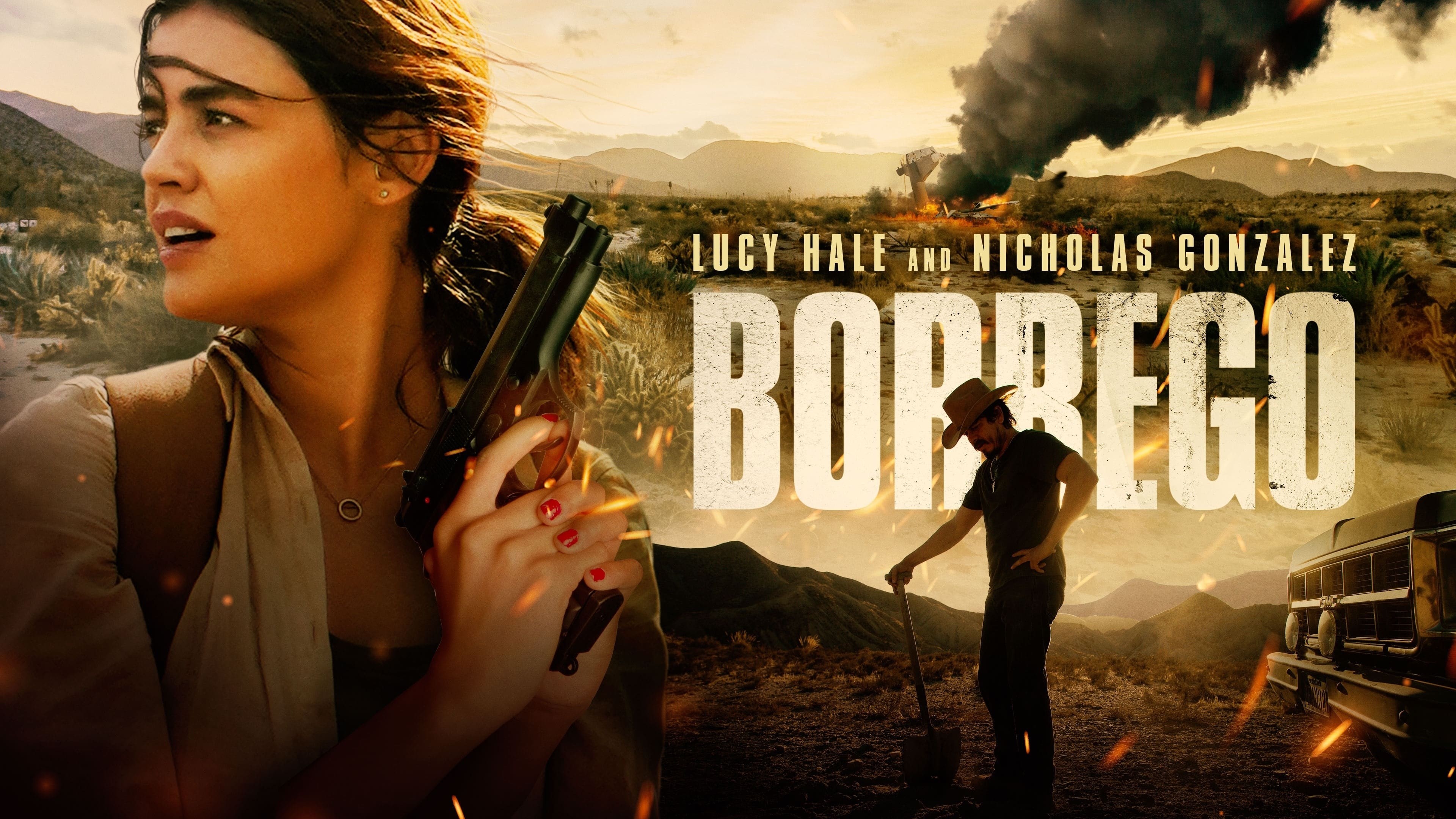Foto de BORREGO – SAL DEL CAMINO
