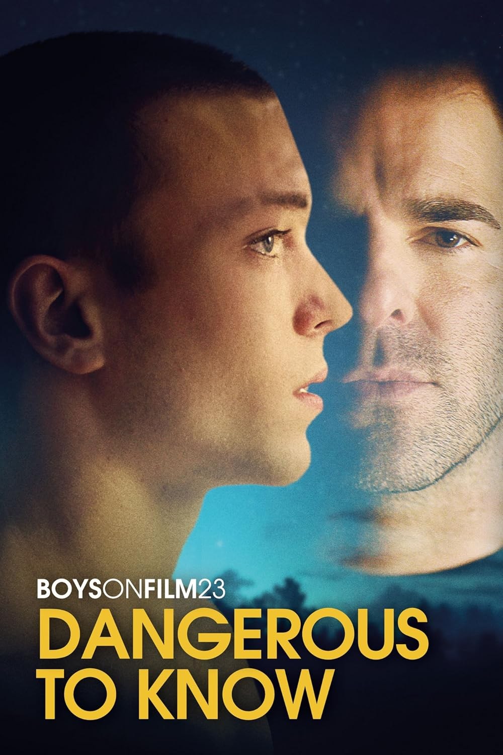 Poster de BOYS ON FILM 23: DANGEROUS TO KNOW