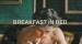 Breakfast in Bed