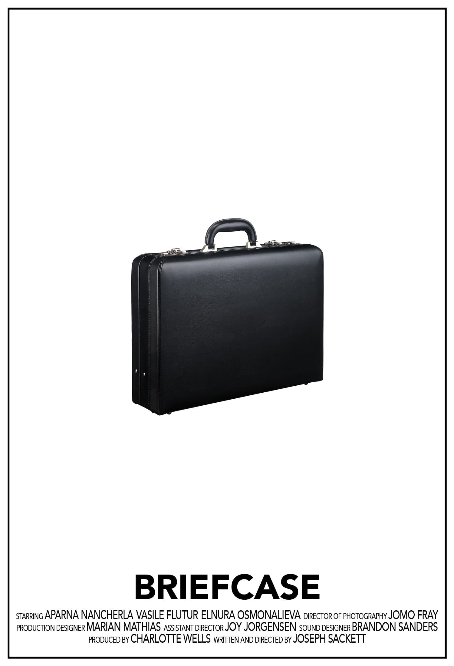 Poster de BRIEFCASE