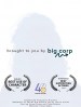 Brought to You by Big Corp