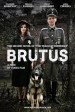 Brut