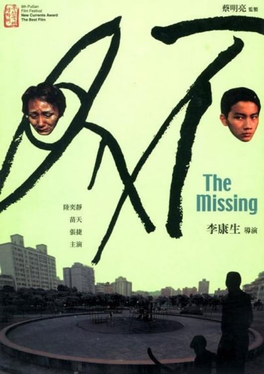Poster de THE MISSING