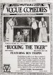 Bucking the Tiger