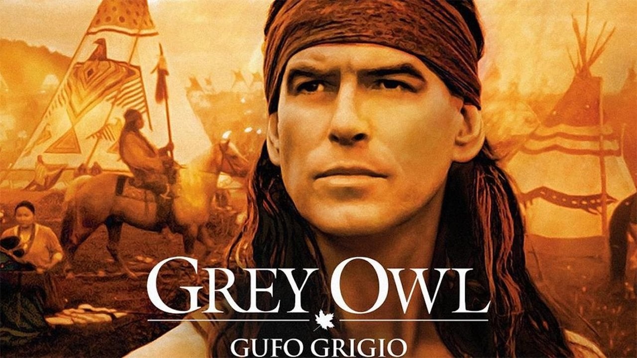 Foto de BÚHO GRIS