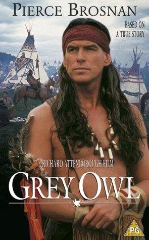 Poster de BÚHO GRIS