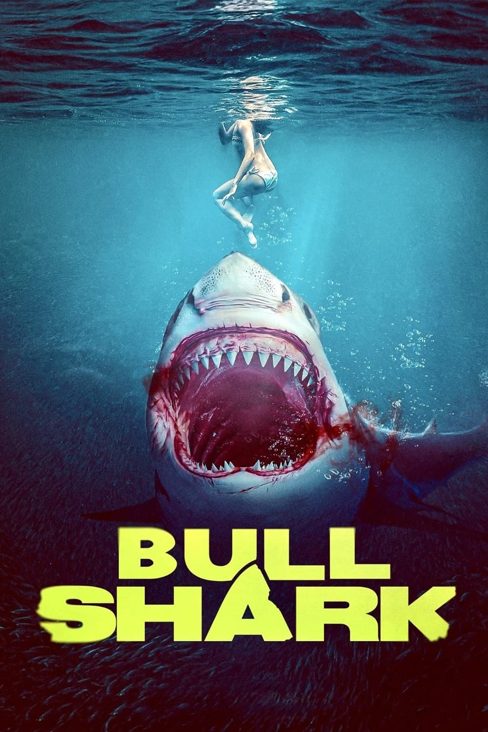 Poster de BULL SHARK en inglés