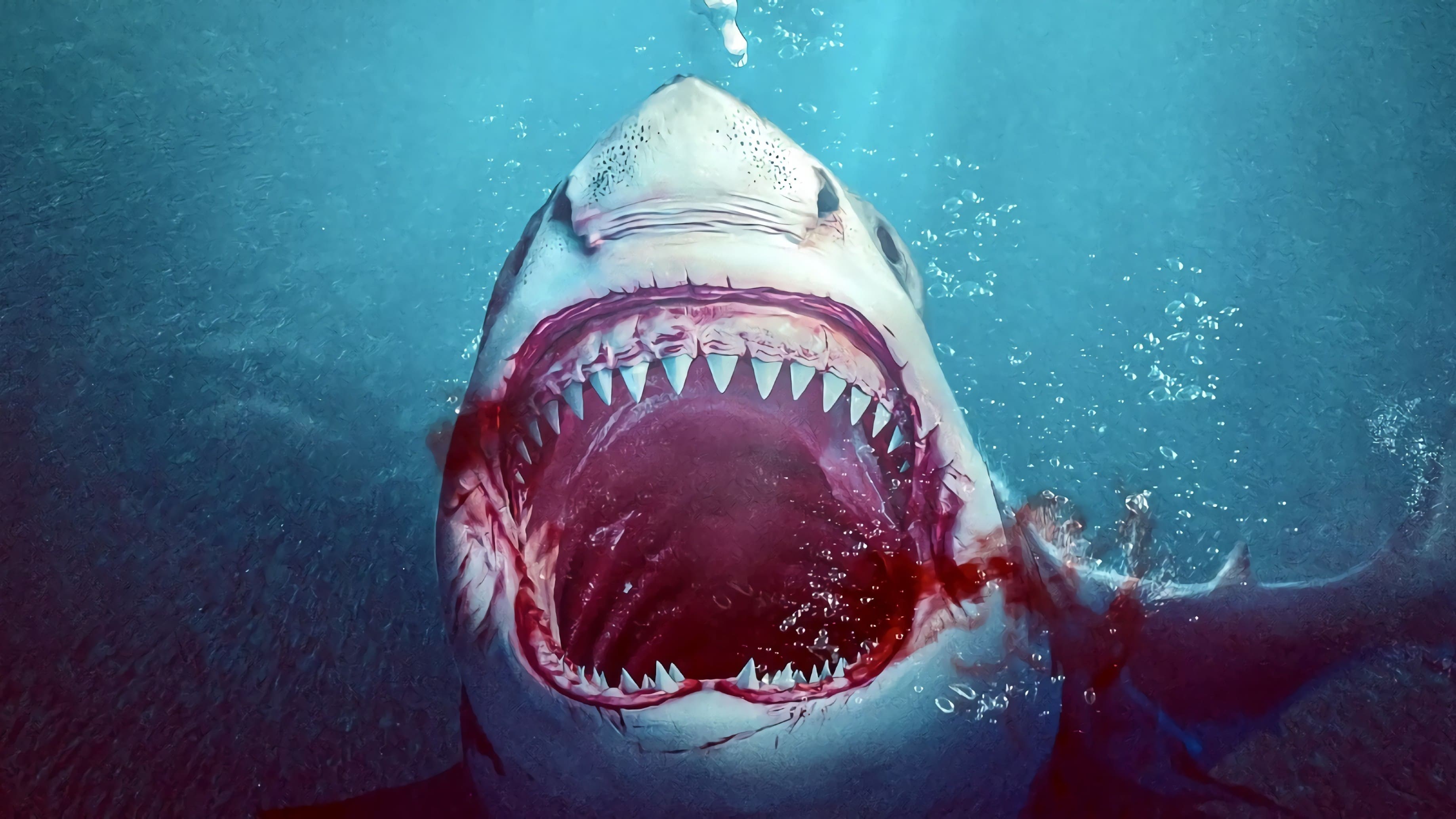 Foto de BULL SHARK