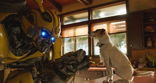 Foto de BUMBLEBEE