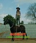 Bunbury: El momento de aprovechar el momento