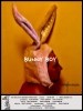 Bunny Boy