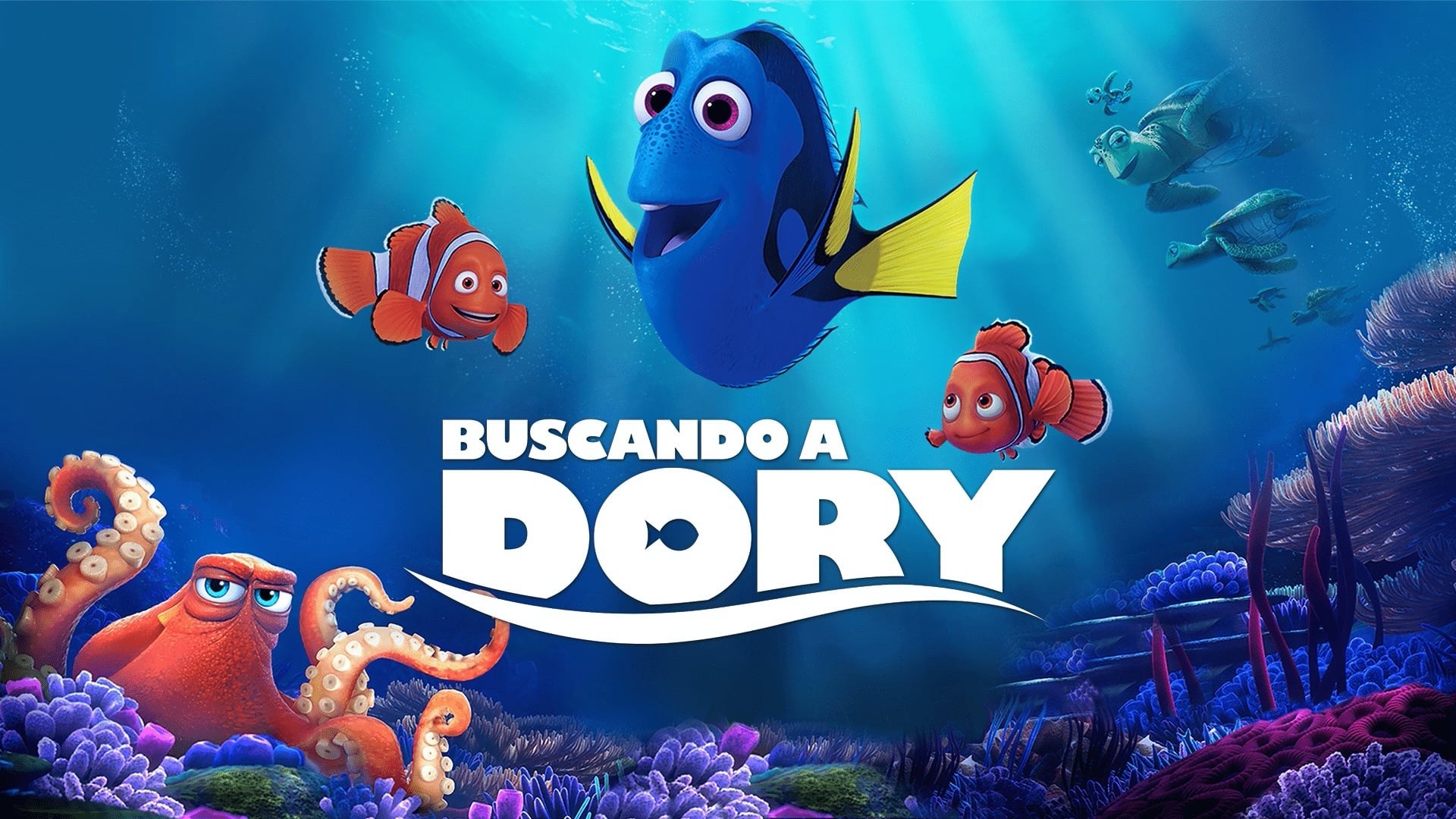 Foto de BUSCANDO A DORY