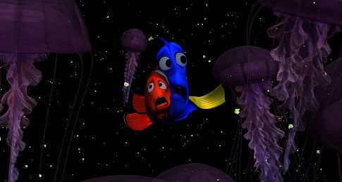 Foto de BUSCANDO A NEMO