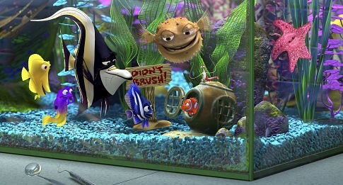 Foto de BUSCANDO A NEMO