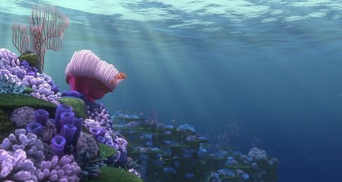 Foto de BUSCANDO A NEMO