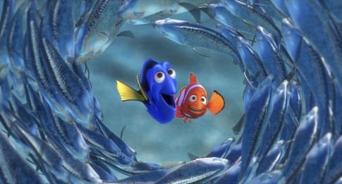 Foto de BUSCANDO A NEMO