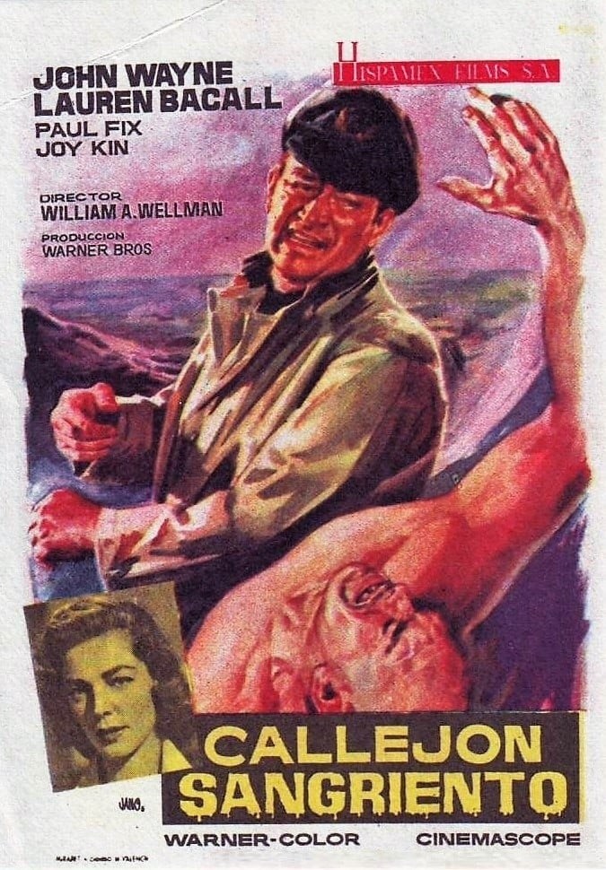 Poster de CALLEJÓN SANGRIENTO en español