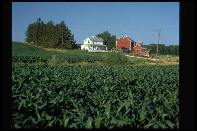 Foto de CAMPO DE SUEÑOS