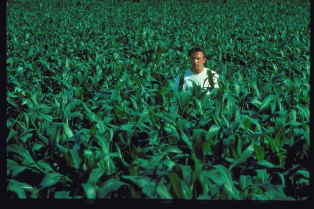Foto de CAMPO DE SUEÑOS
