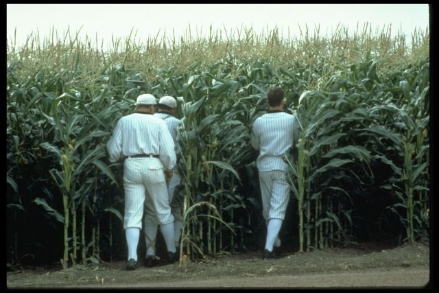 Foto de CAMPO DE SUEÑOS