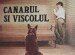 Canarul și viscolul