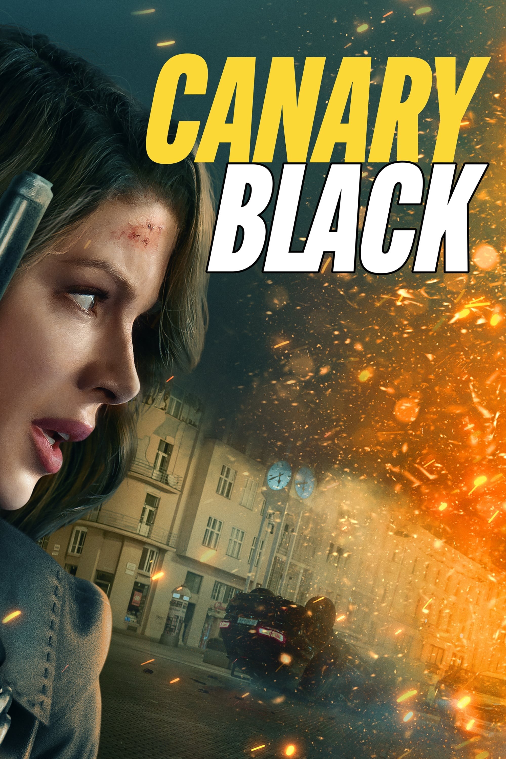 Poster de CANARIO NEGRO en inglés