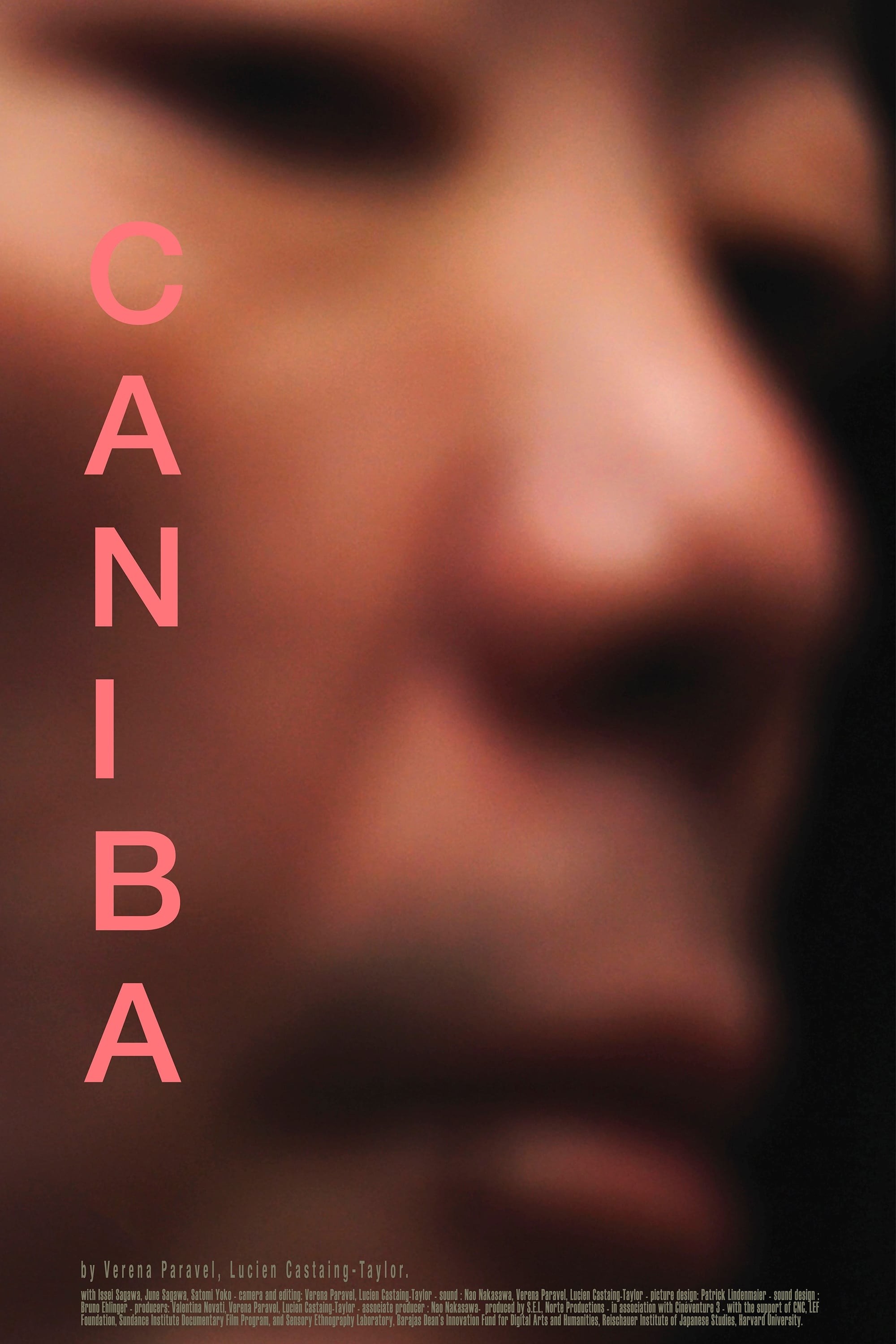 Poster de CANIBA en inglés